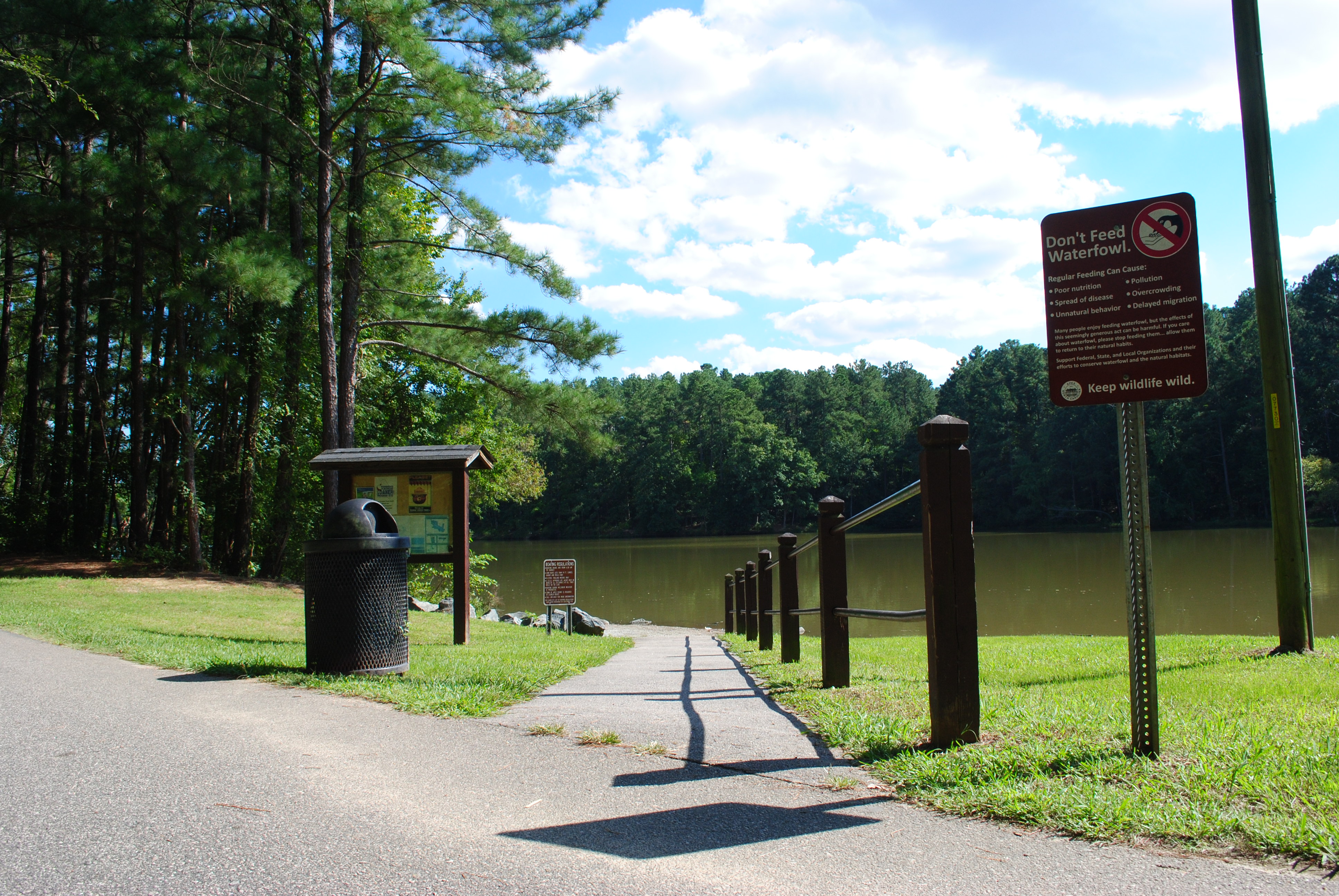 Trail Around Lake Pine