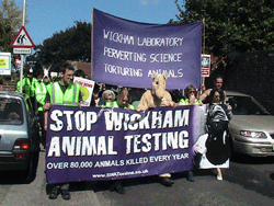 Protest at Wickham Laboratories, September 2007