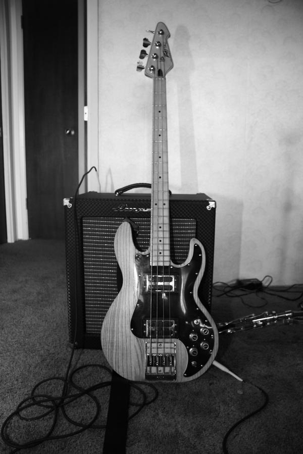 Beautiful Peavy T-40 used on the Breakbeard Rules!!! album