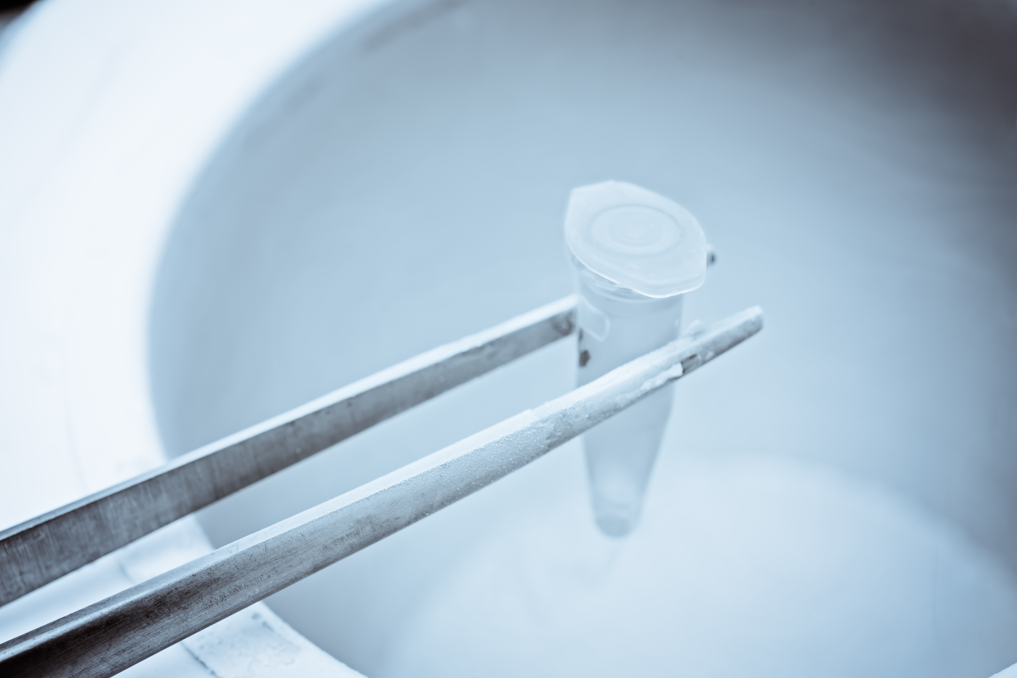 Test tube in liquid nitrogen representing cryopreservation of reproductive samples, commonly collected and maintained by sperm banks Test tube in liquid nitrogen representing cryopreservation of reproductive samples, commonly collected and maintained by sperm banks