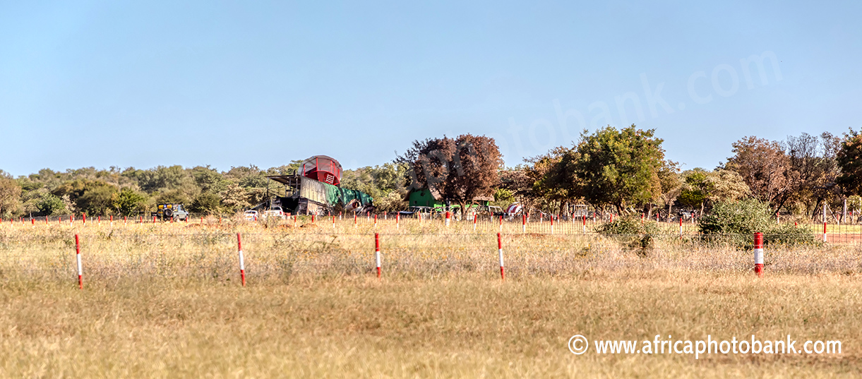 Crash site