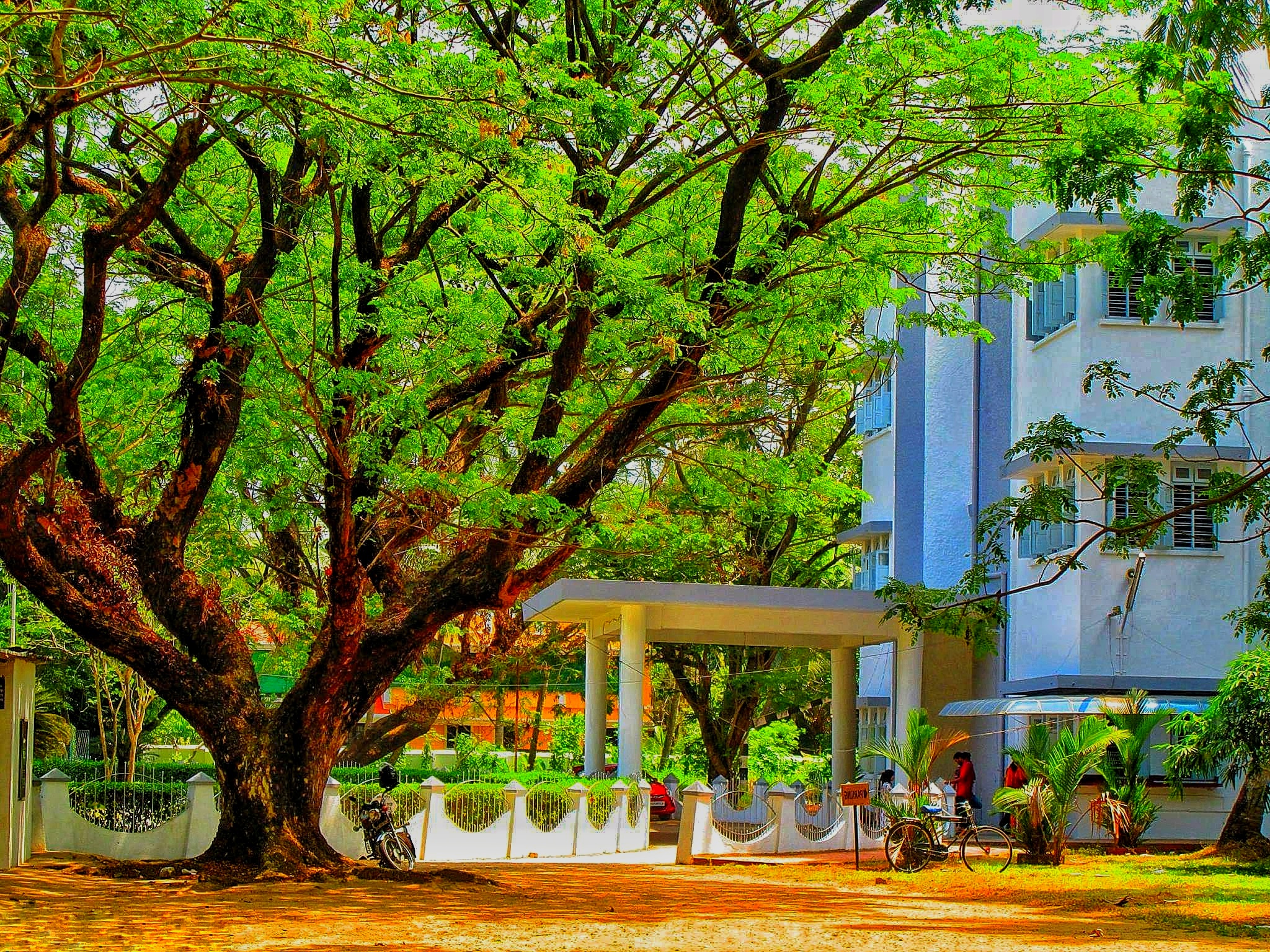 The Cochin College, Kochi The Cochin College, Kochi