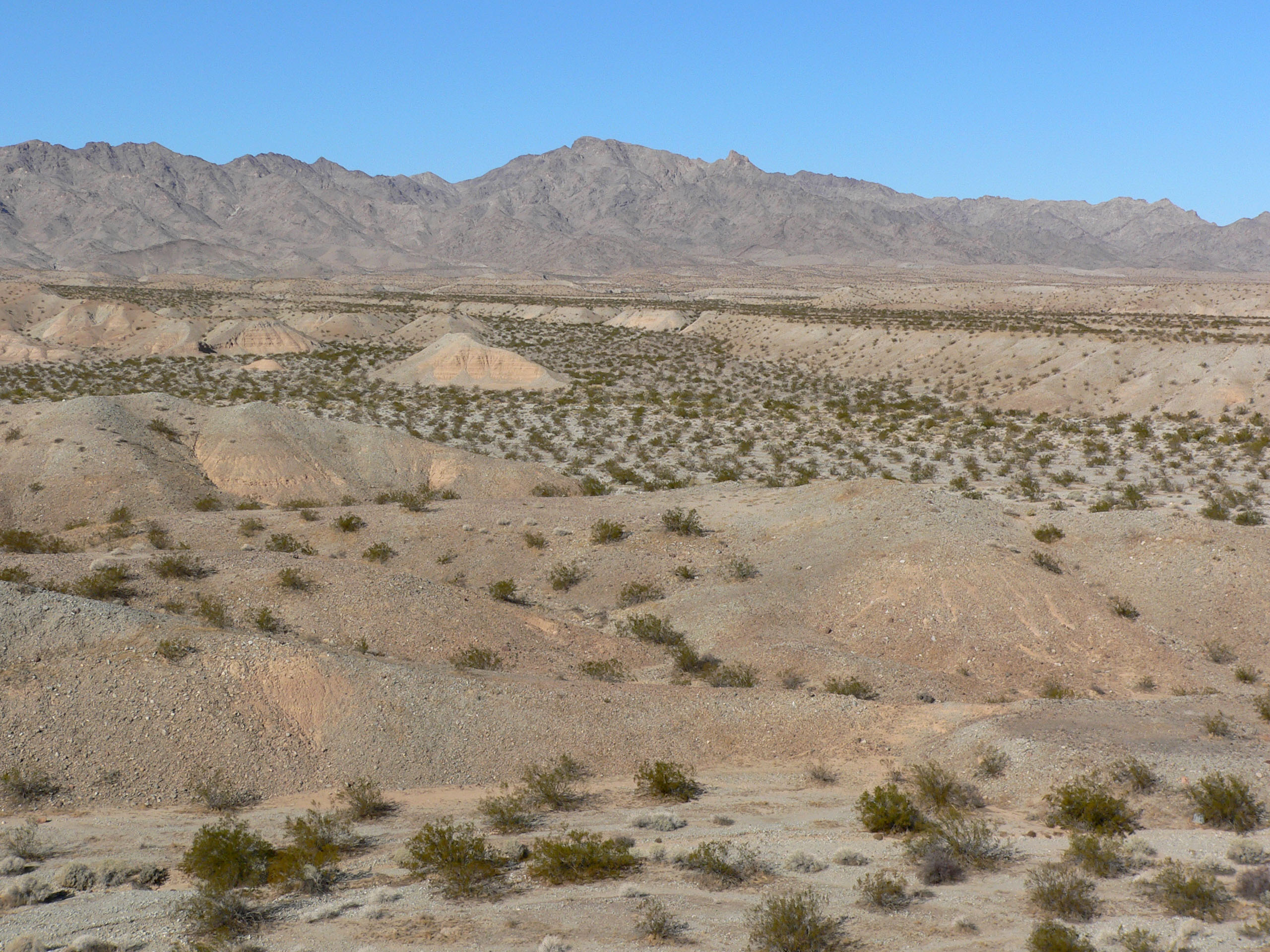The Piute Wash outfall down bajada/alluvial fan, after junction with Sacramento Wash; the downslope descends to the west side of the south-flowing Colorado River.