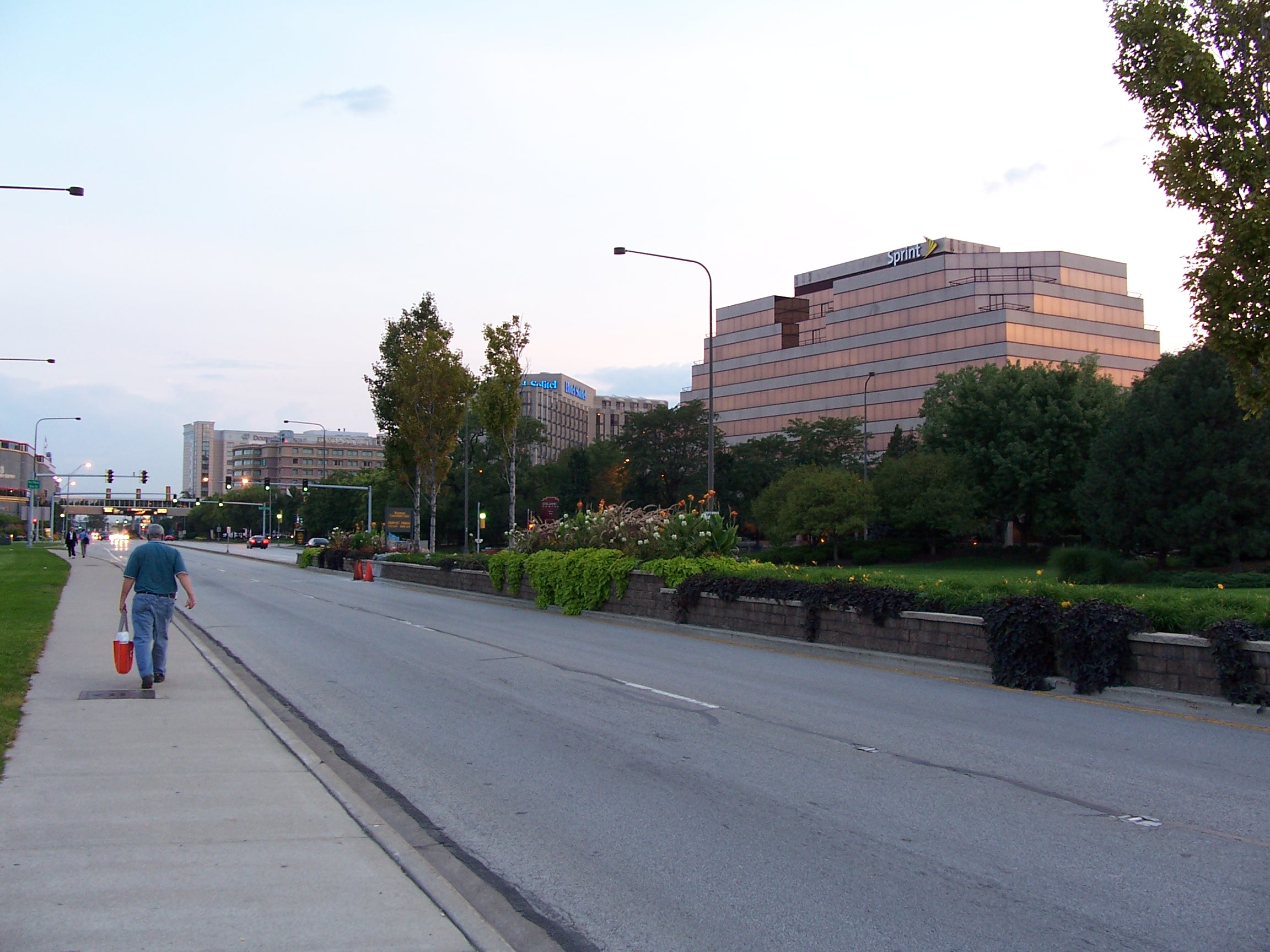 A view of the Rosemont area