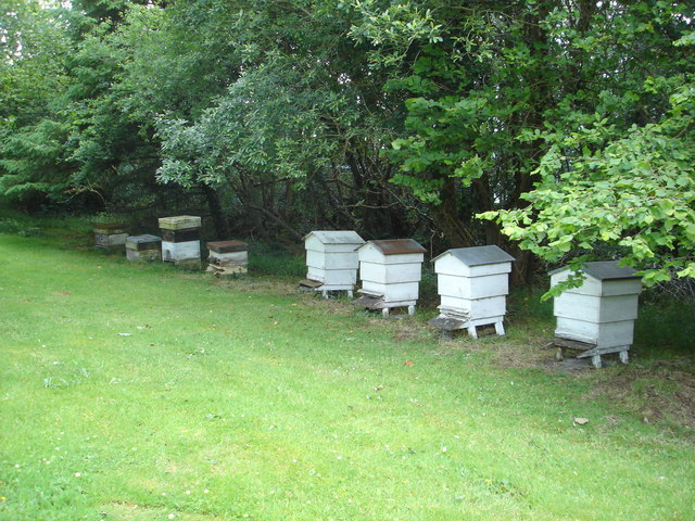 Bee-pots