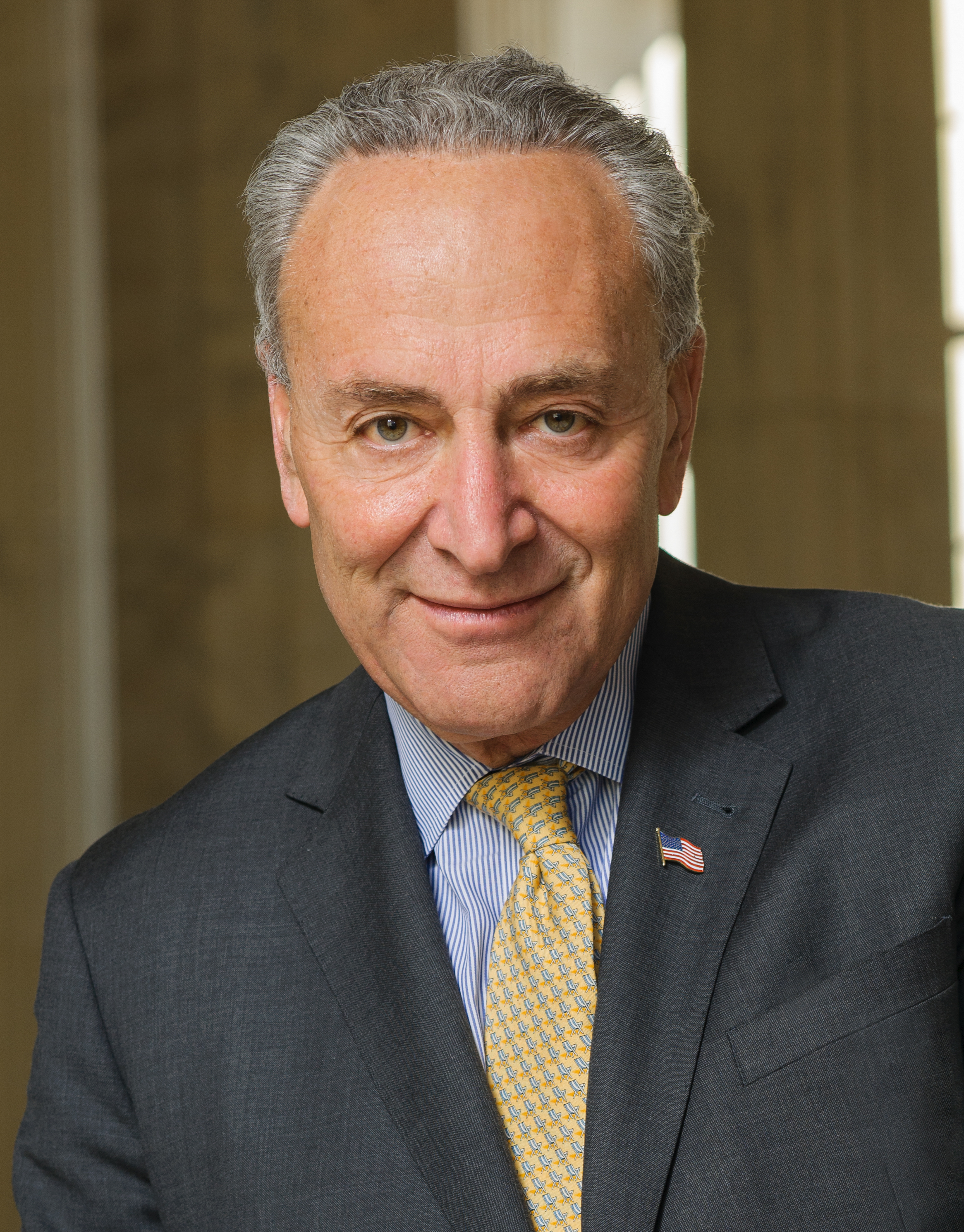 Chuck Schumer (2017), U.S. Senator Chuck Schumer (2017), U.S. Senator