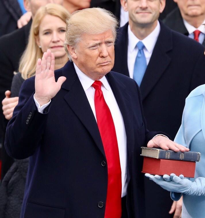 Donald Trump (2017)