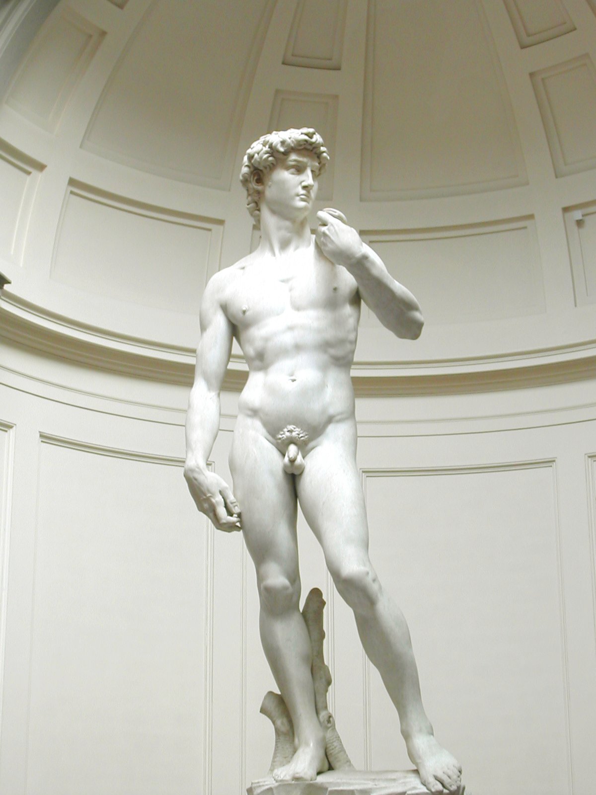 Michelangelo's David.