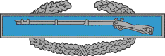 CombatInfantry.gif