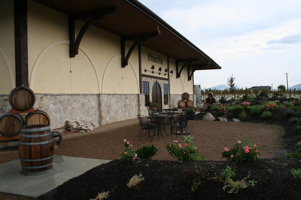 |The new winery at Le Vieux Pin