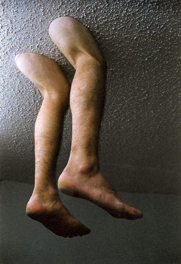 Detail of the Going Out on a Limb
