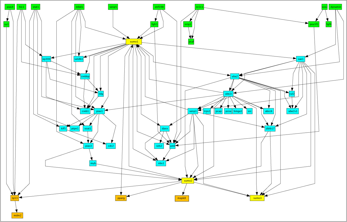 The SUMO network extracted from the recent 100 PubMed entries.