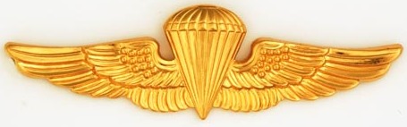 NavJumpWings.jpg