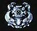 Diving_Badge_1st_Class.jpg