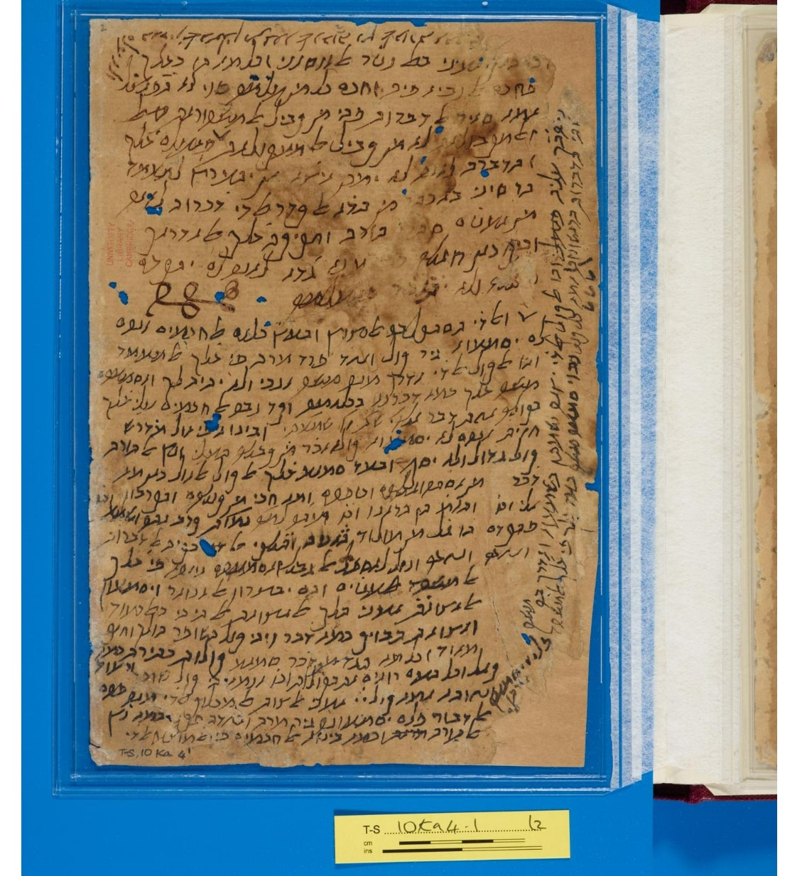 Manuscript page by Maimonides. Judeo-Arabic language in Hebrew letters.