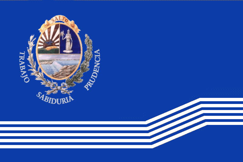 Flag_of_Salto_Department.png