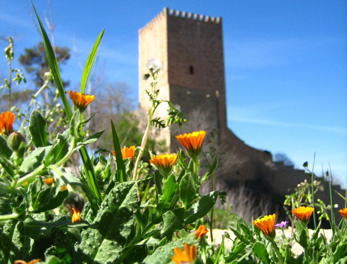 Enclave Andaluz