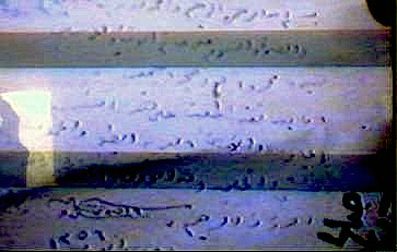 King Abdullah II's signature on the Rababah Pedigree