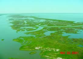 Aerial view of the waters surrounding the New Orleans region of Louisiana.
