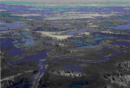 Islands and permanent swamps in the Okavango Delta Islands and permanent swamps in the Okavango Delta