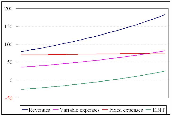Example of future financial performance of a currently loss-making but fast-growing company