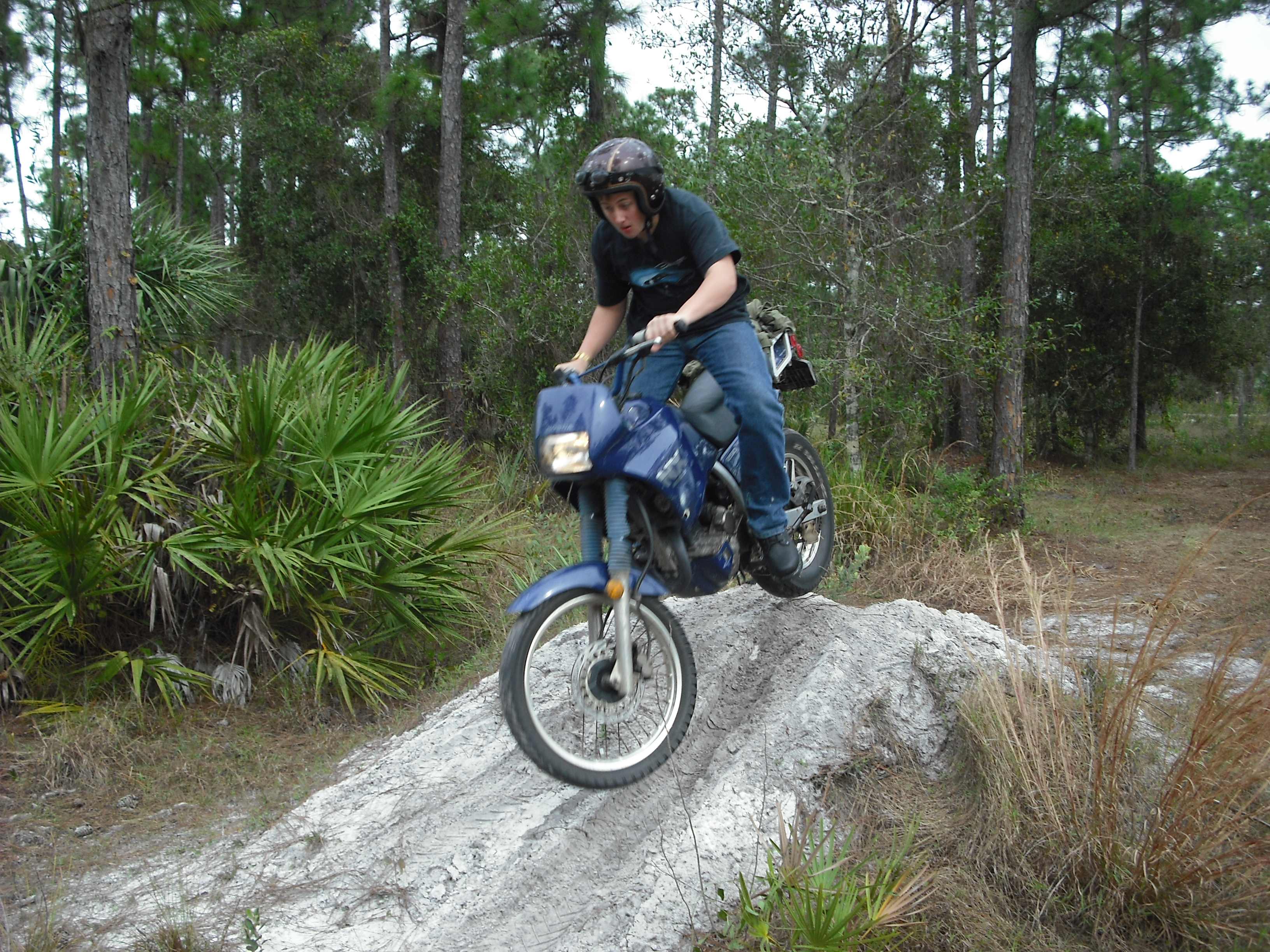 hondanx250dunes.JPG hondanx250dunes.JPG