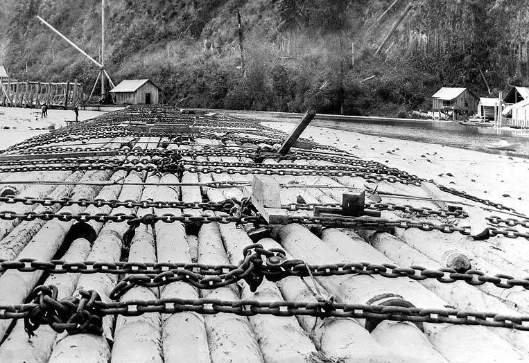 Benson complete log raft with chains