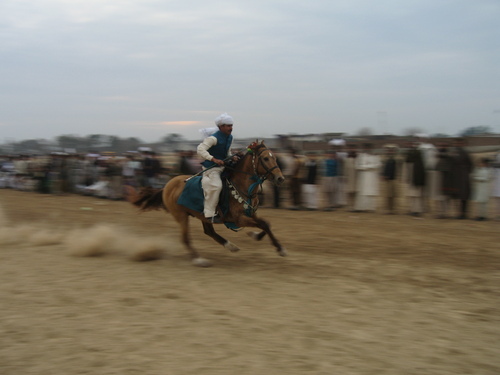 Horse and rider in action, this animal went on to win