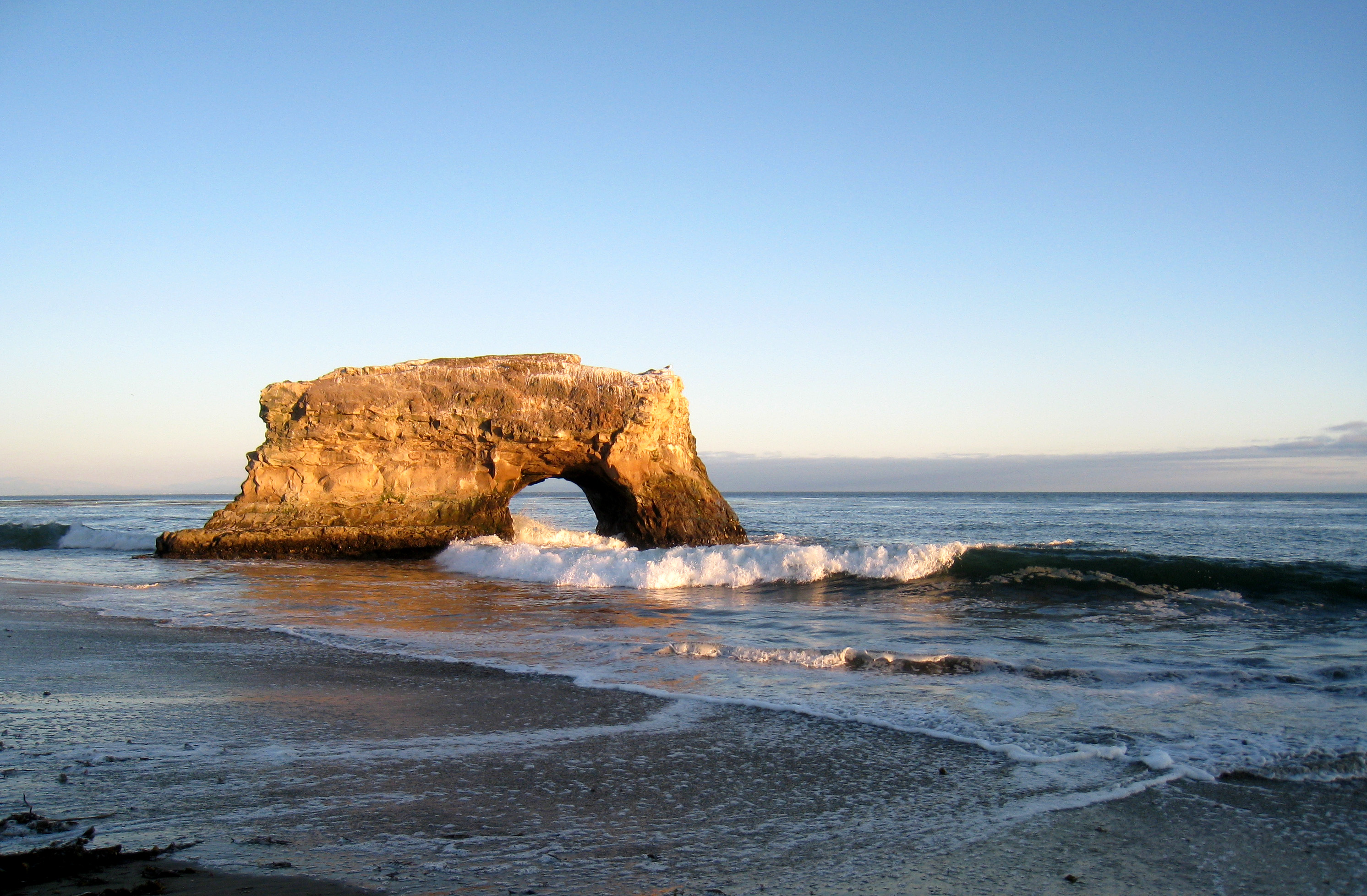 Natural Bridges Beach in Spider's hometown of Santa Cruz, CA.