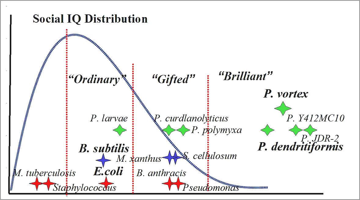 Figure 3: Distribution of the Social IQ Score of Bacteria. The distribution of the social IQ scores of the 502 bacteria in terms of the relative scores (relative to the average score divided by the standard deviation). The bacteria strains marked green belong to the Paenibacillus genus. Figure 3: Distribution of the Social IQ Score of Bacteria. The distribution of the social IQ scores of the 502 bacteria in terms of the relative scores (relative to the average score divided by the standard deviation). The bacteria strains marked green belong to the Paenibacillus genus.