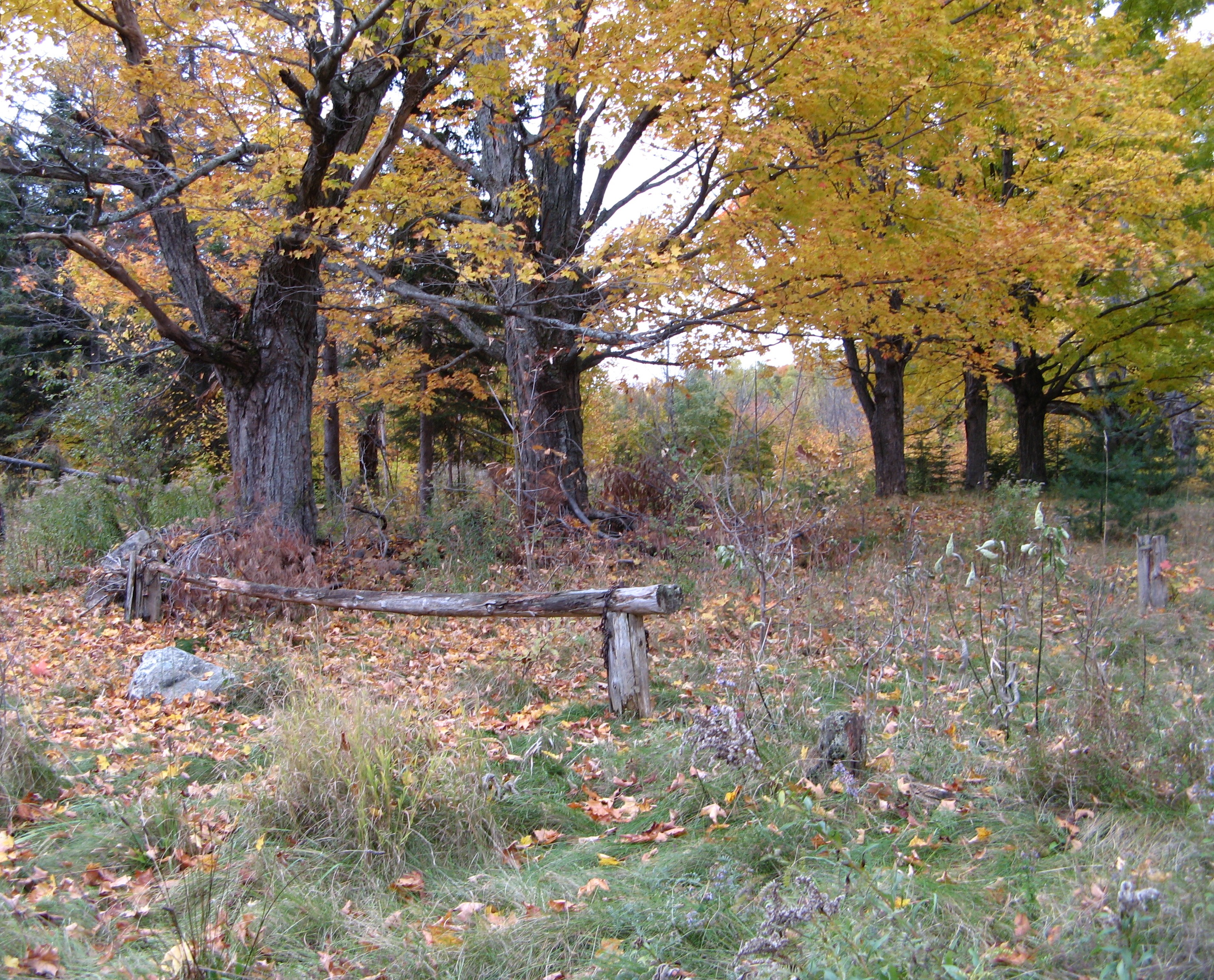  Closed Booth Picnic Grounds, Gatineau Park| The NCC closed Kingsmereâ€™s Booth Picnic Grounds in the early 90s as residential construction took place nearby.