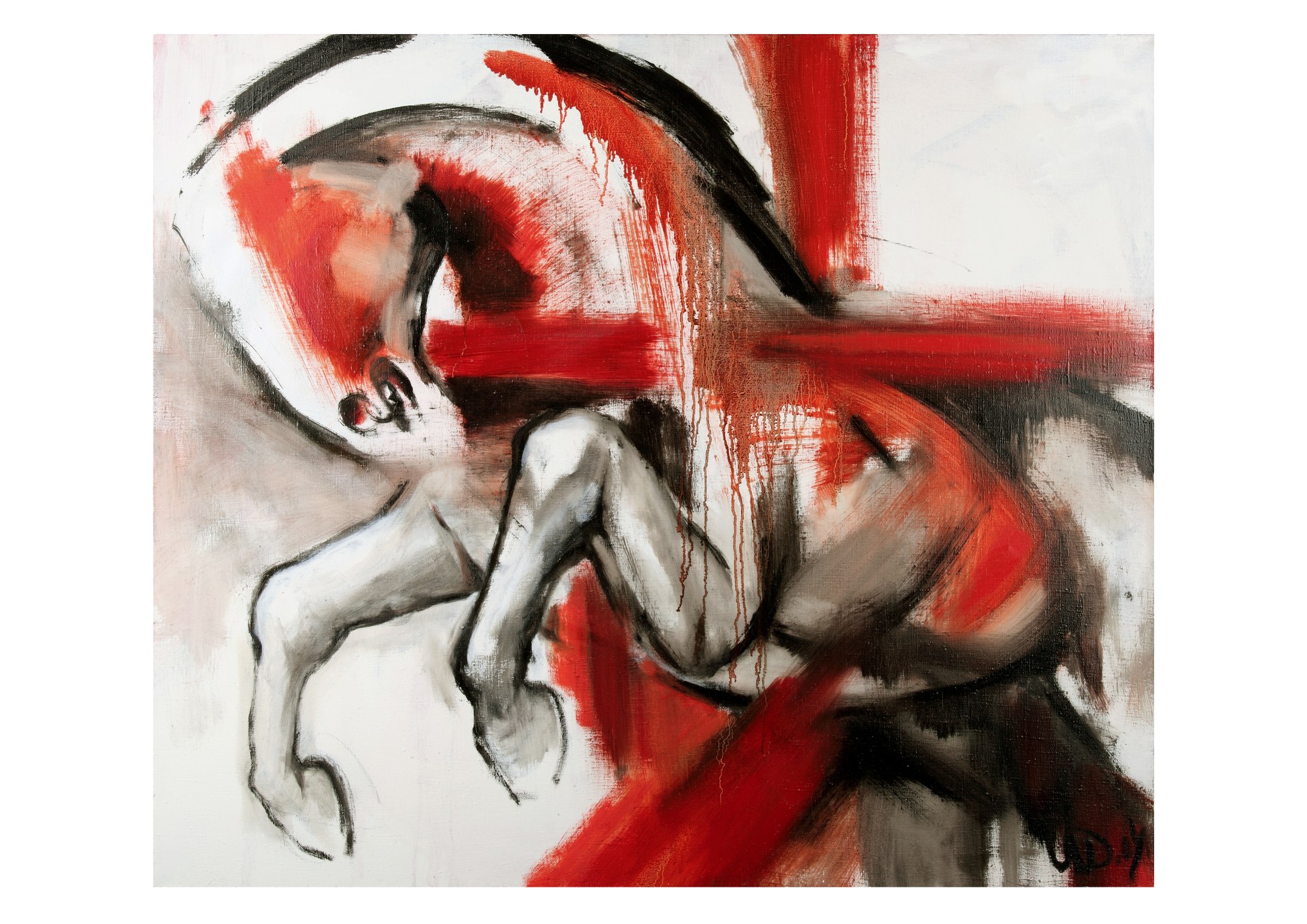 Wild Horse Wild Horse