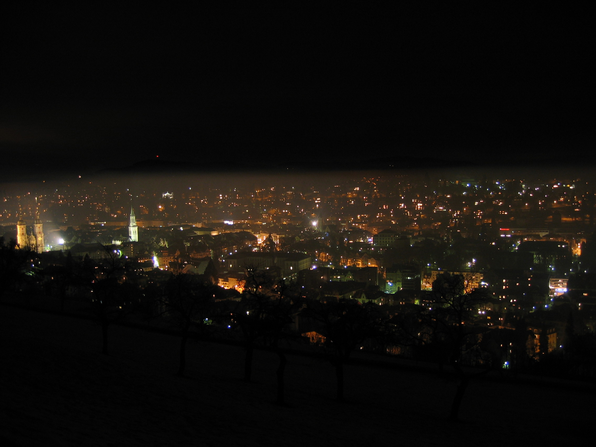 The university is located in St. Gallen (seen above at night)