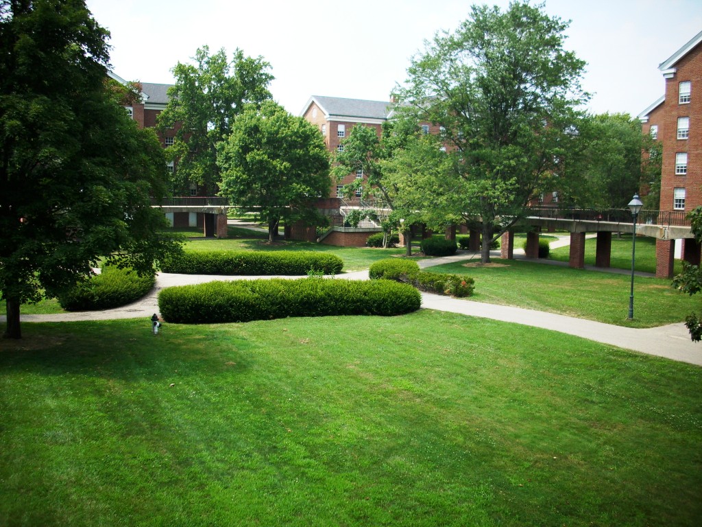The South Green as seen from near Wray House