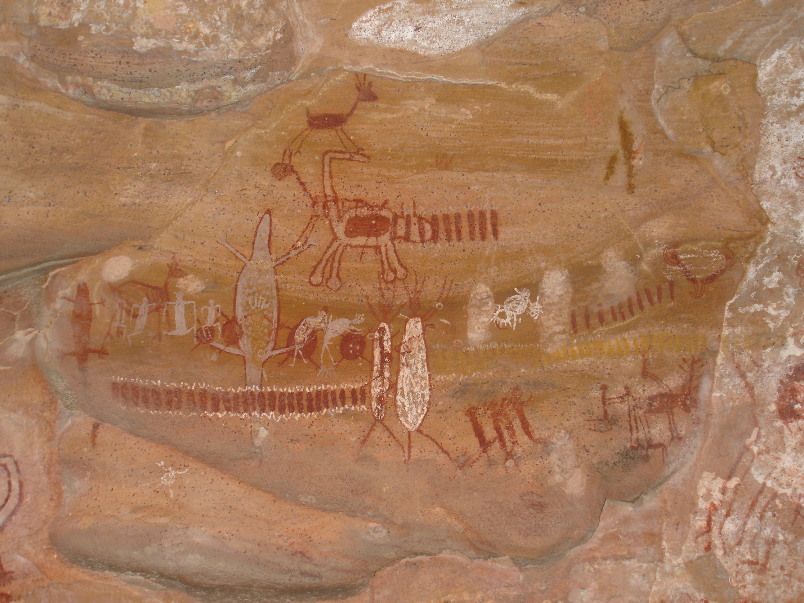 Cave paintings at Serra da Capivara Cave paintings at Serra da Capivara