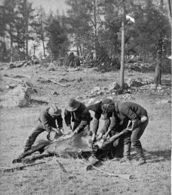 Soldiers [...] up abandoned horse on Crook's "Horsemeat March"