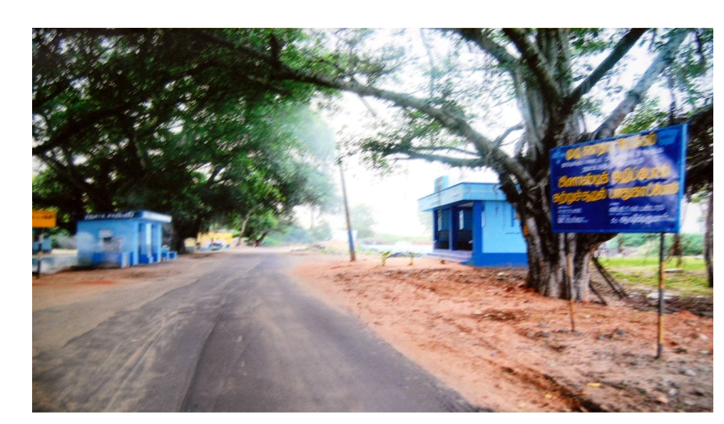 Nattathi Village in Tuticorin district