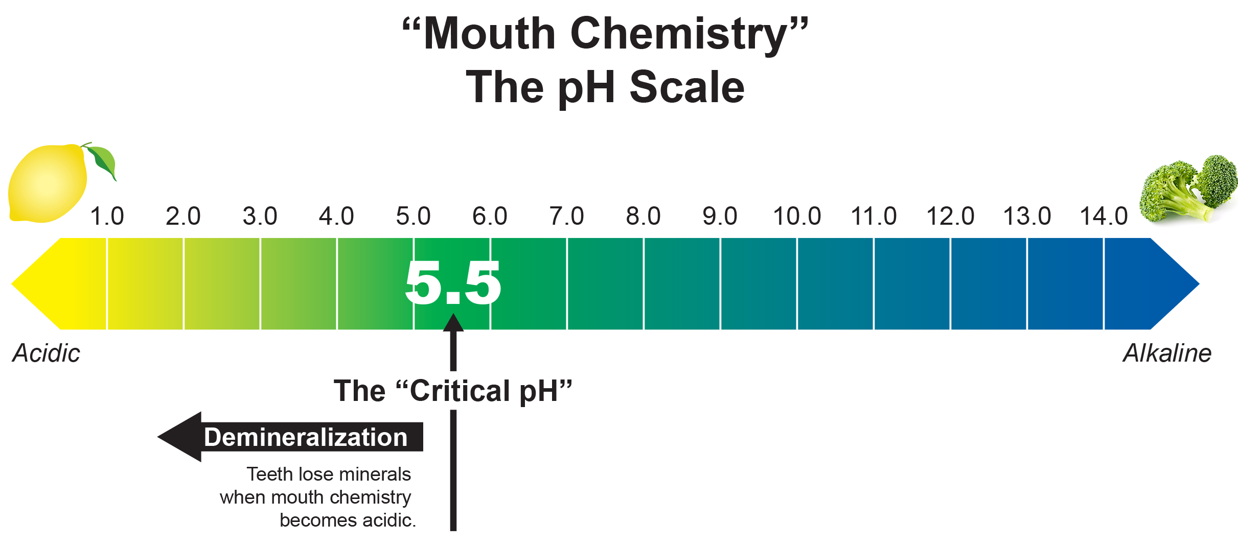 Diagram depicting minerals are removed from teeth in Acidic Conditions with the pH below 5.5