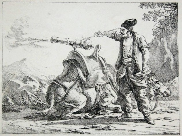 Humayun introduced different types of Zamburak which were in use by the Mughal Empire.