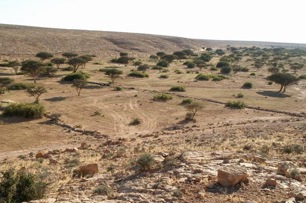 Remnants of "Centenaria" at nearby Suq al-Awty