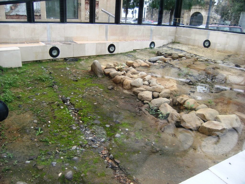 Phoenician ruins of "Abyla"