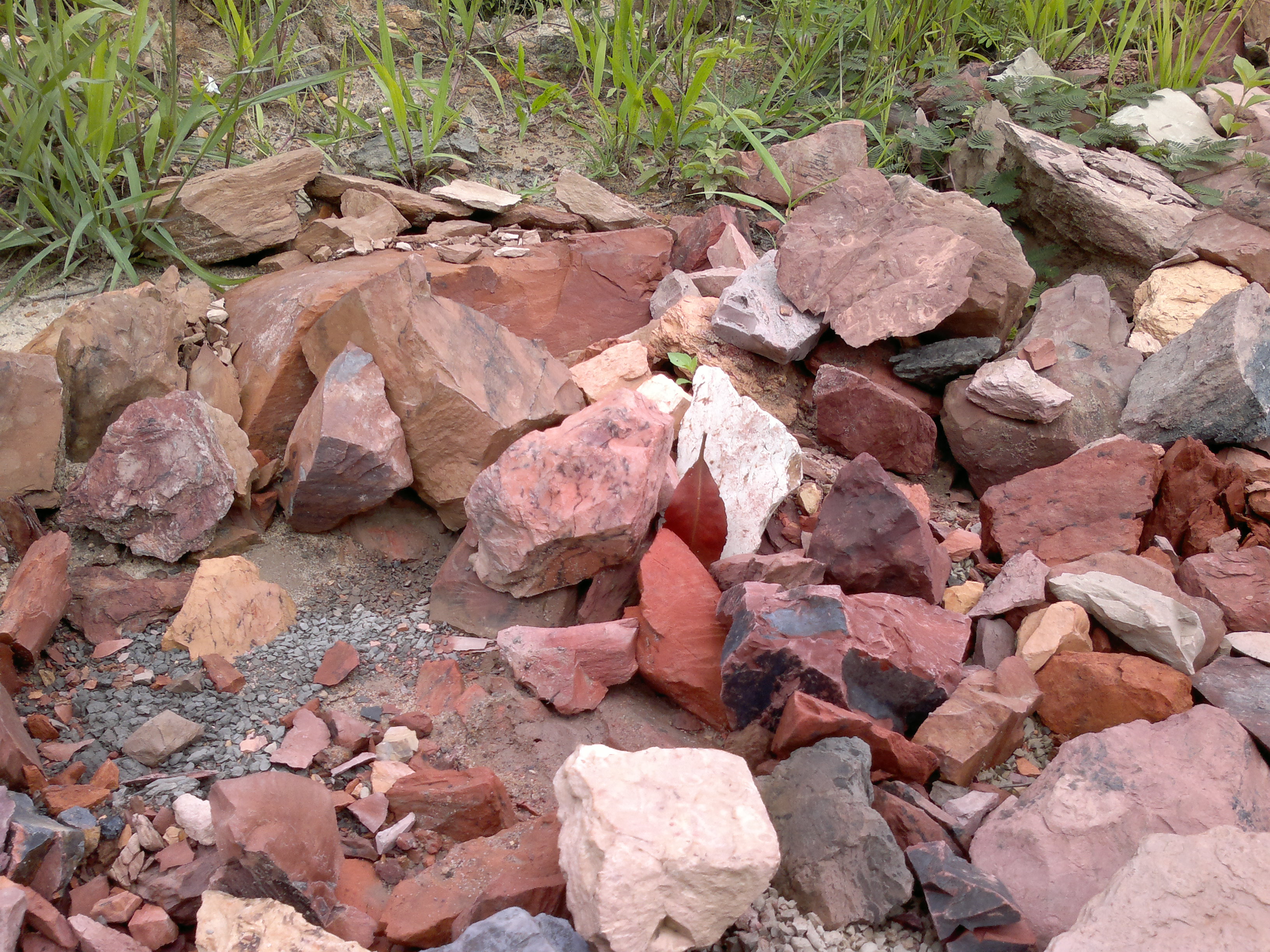 Laterite Borneo