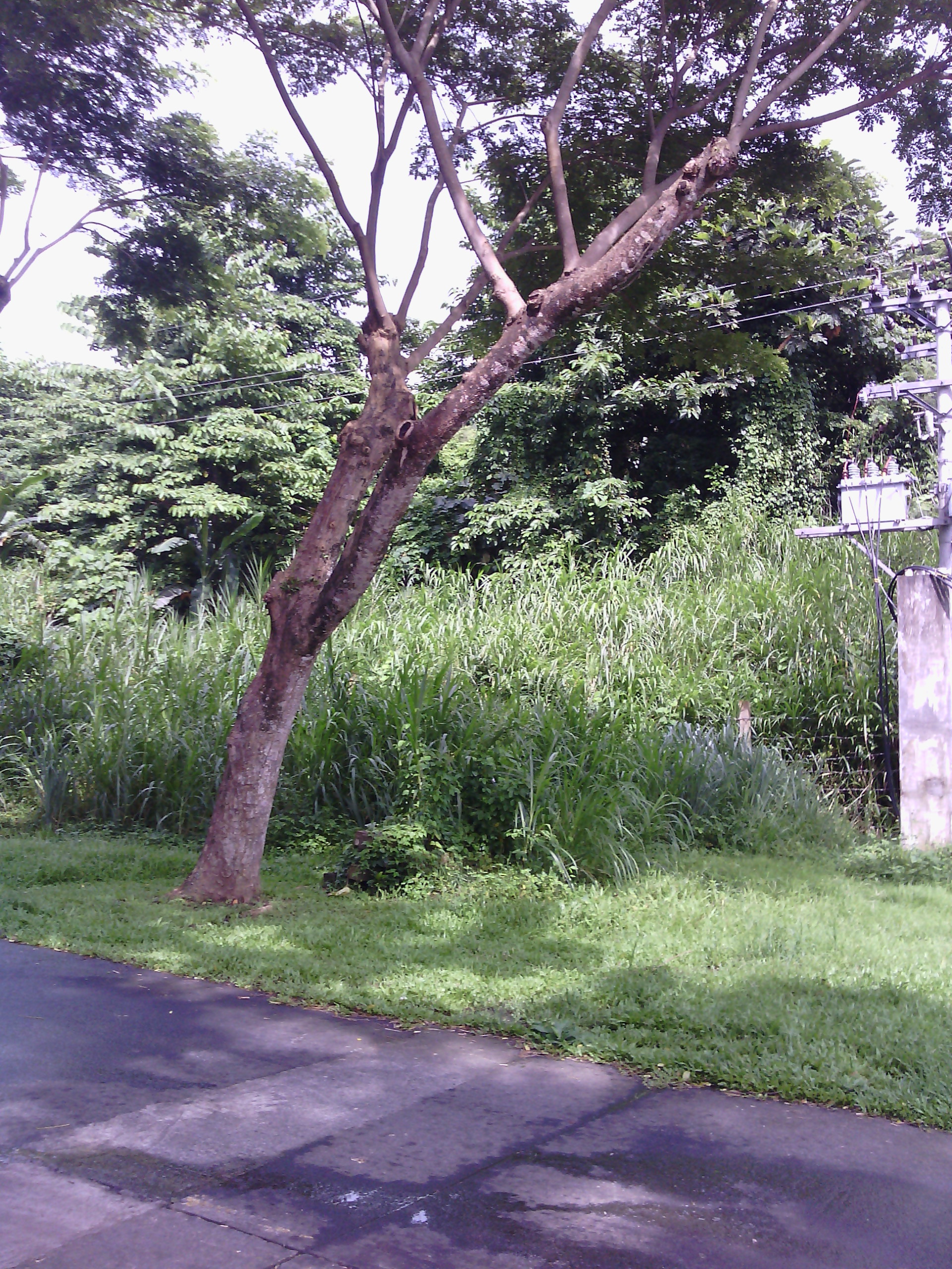 A Canlubang Golf and Country Club faultline zone
