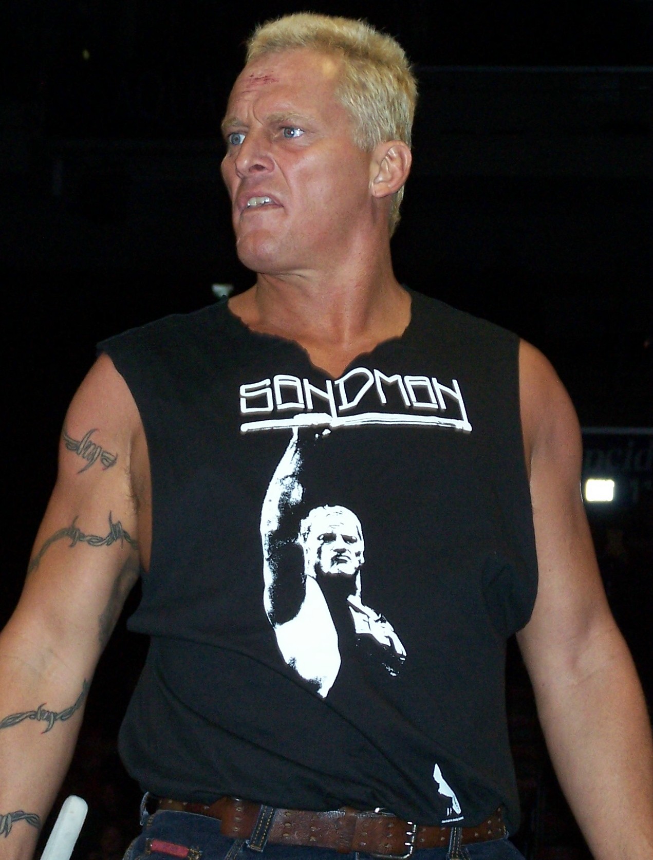 Sandman
