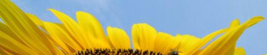 Header_images_02.jpg
