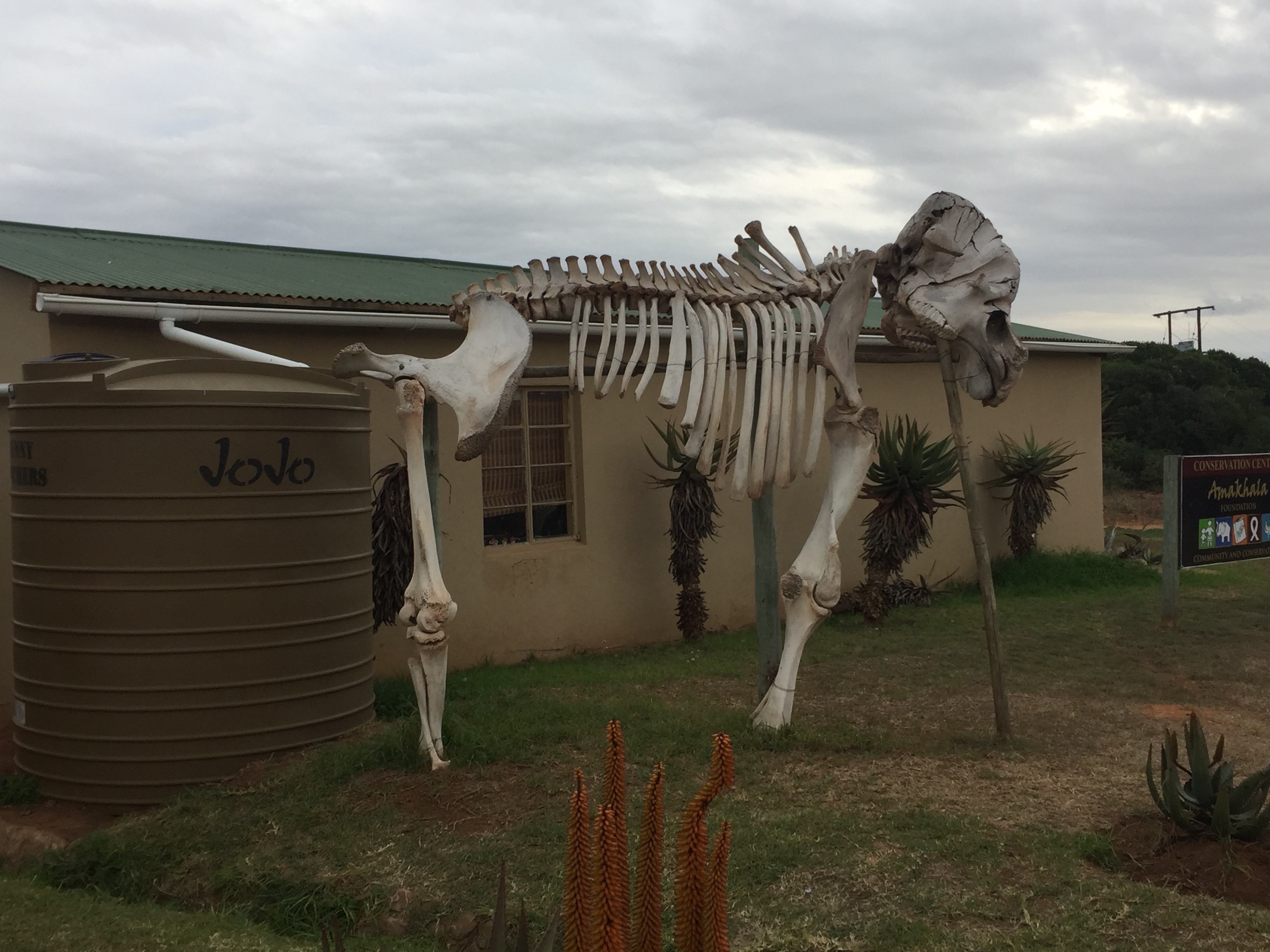 Amakhala Game Reserve- Woodbury Tented Camp