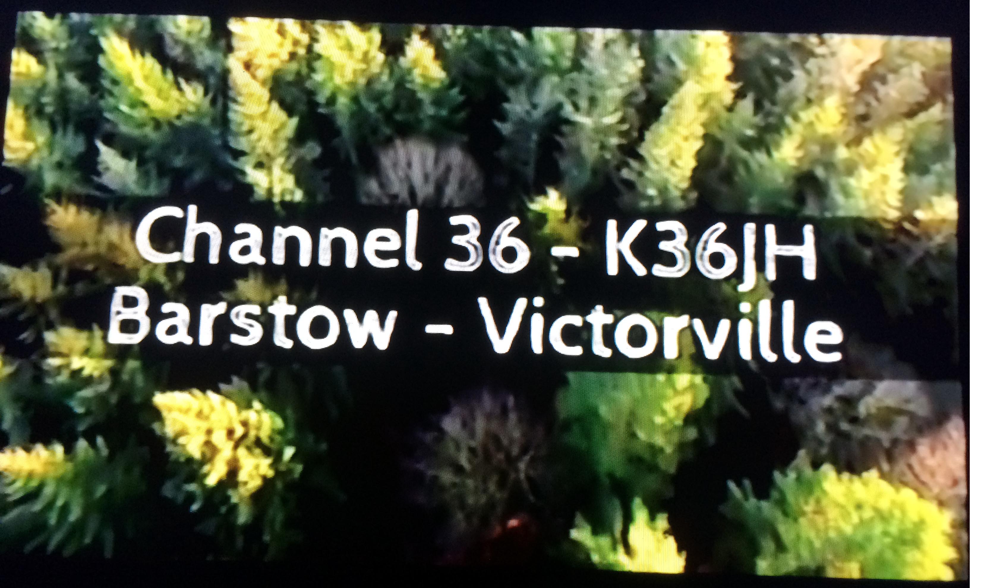 K36JH ID as seen on a television in Phelan, CA on March 3, 2017