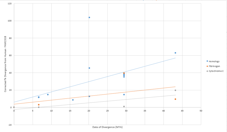 A graph comparing the evolutionary rate of FAM231B and its homologs to the Fibrinogen and Cytochrome C proteins. 