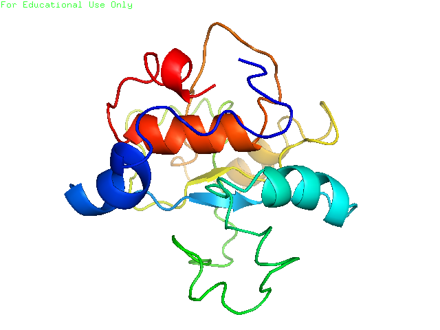 A predicted protein structure of FAM231B from I-TASSER.
