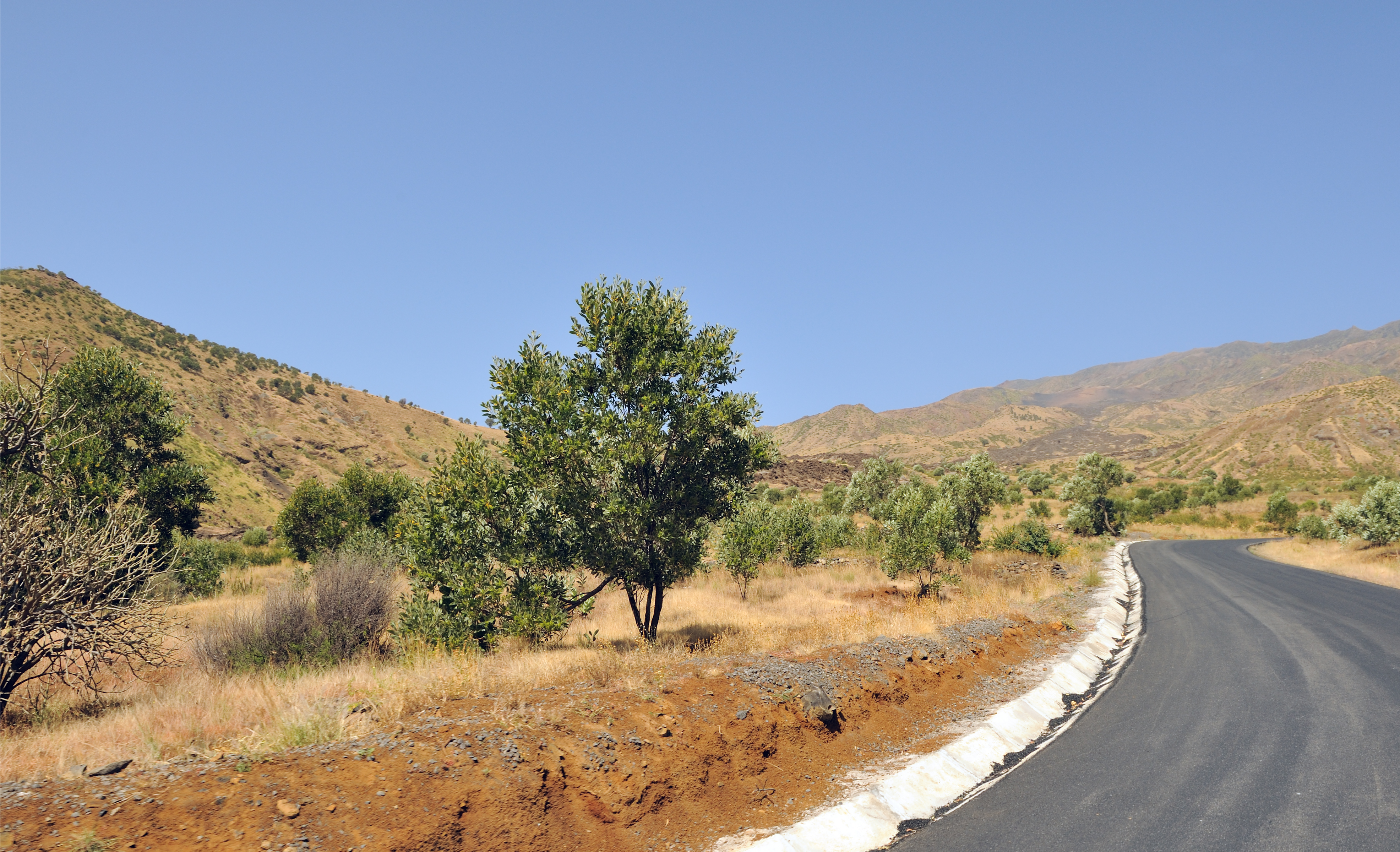 A stretch of highway heading uphill to Bordeira